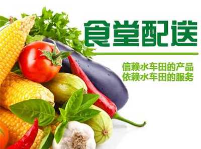 长沙新鲜蔬菜配送批发指南 健康生活从源头开始
